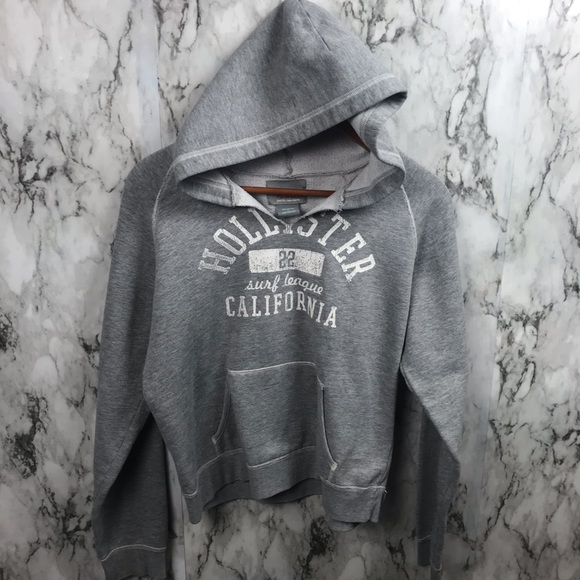 youth hollister hoodie